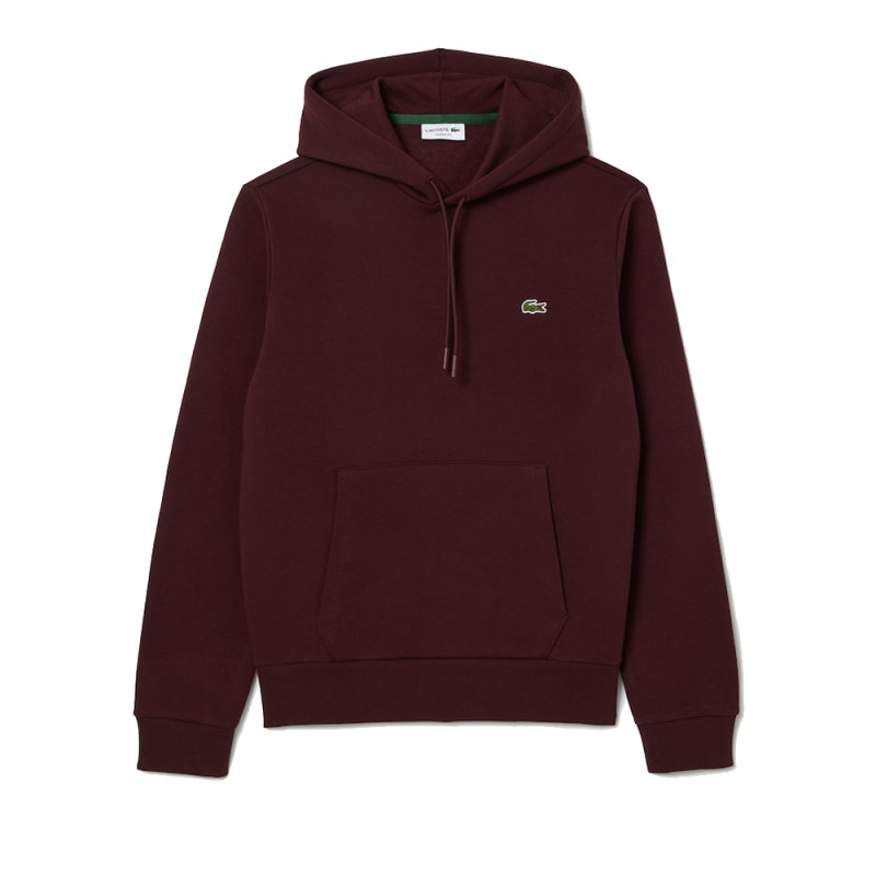 Pull a capuche lacoste hotsell